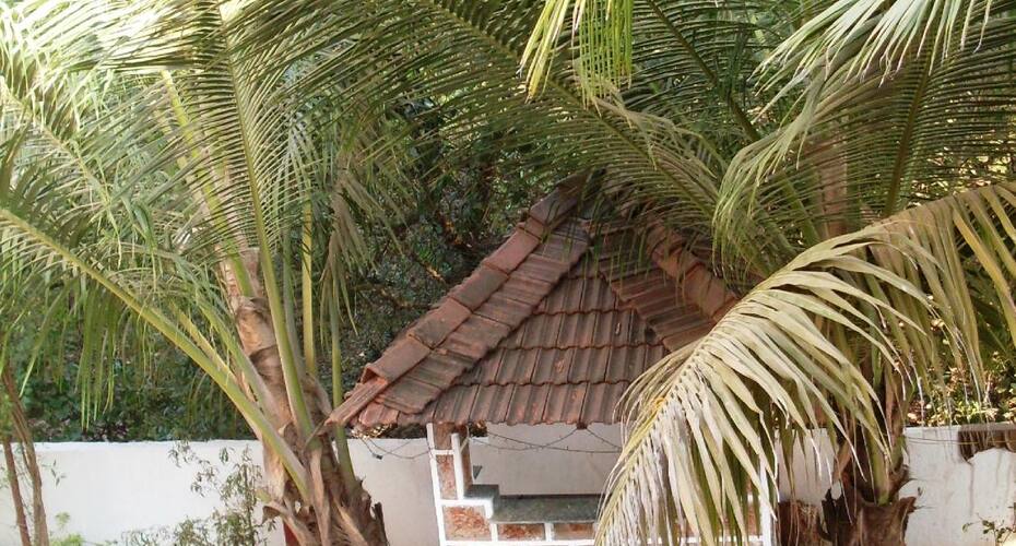 V & M Calisto Guest House, Goa 4